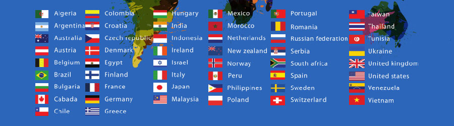 泰安小语种网站建设  第1张