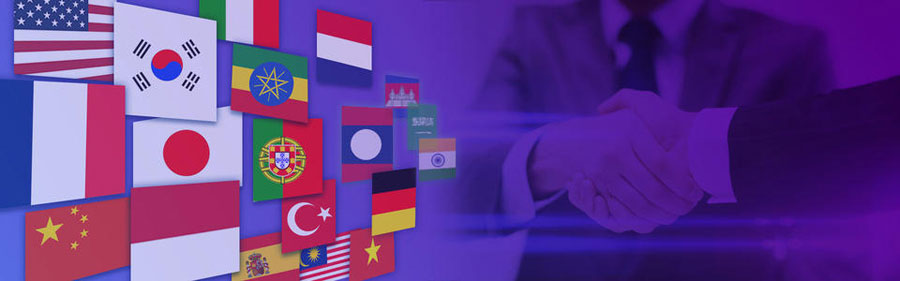 泰安小语种网站建设  第2张